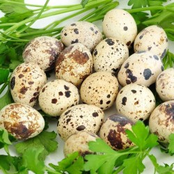 Huevos de codorniz - 30u / AmiFamilia