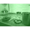 Ritual Spa en pareja experiencia para enamorarse