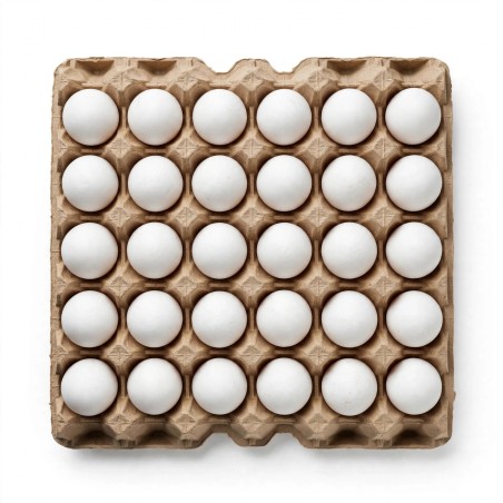 Huevos Blancos Criollos 30u